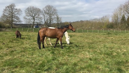 Equestrian Center Ecurie De La Velarderie, Centre Equestres à Combres