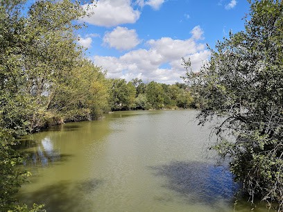 École D'Équitation Du Dicosa, Centre Equestres à Saïx