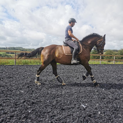 Écurie D'elvenn Pension Pour Chevaux à Cast