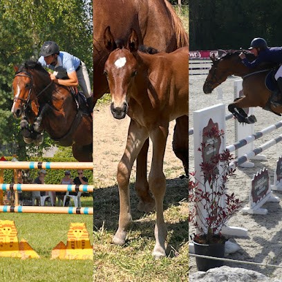 Le Pré Danseur, Centre Equestres à Talmont-Saint-Hilaire