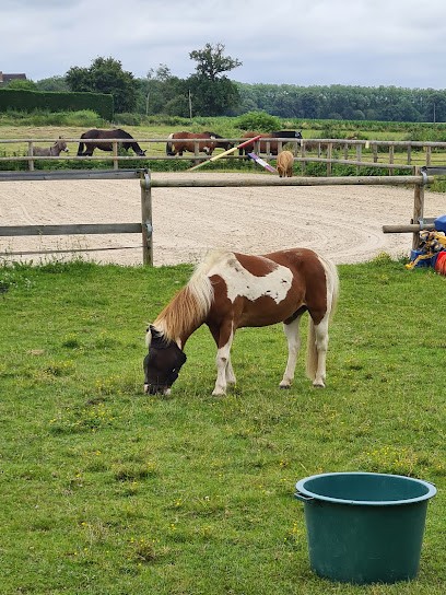 écurie des étangs, Centre Equestres à La Collancelle