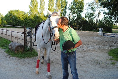Ecurie de la Grange l'Abbé Le Langon, Centre Equestres au Langon