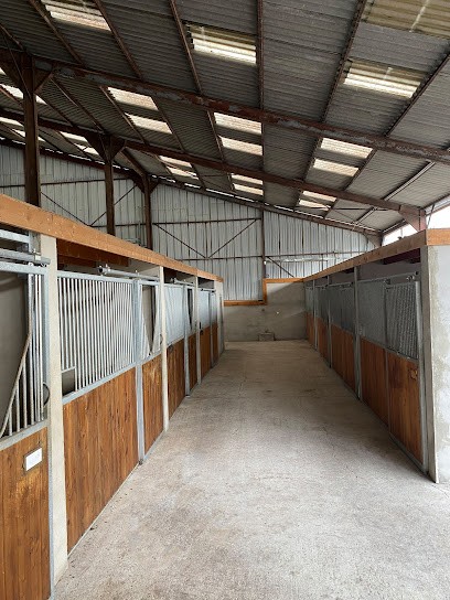 Ecurie du Valhalla, Pension pour Chevaux à Chailly-en-Brie