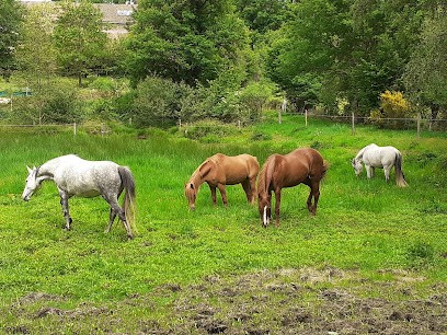 Equestrian Center Les Abeilles, Centre Equestres à Eymoutiers