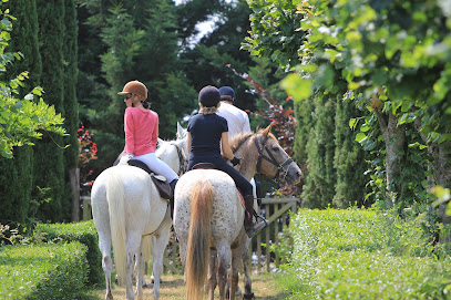 Randonnez Cheval Ô Centre Centre Équestre à Lamotte-Beuvron