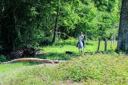 Parc D'aventures À Cheval, Centre Equestres à Vielleségure