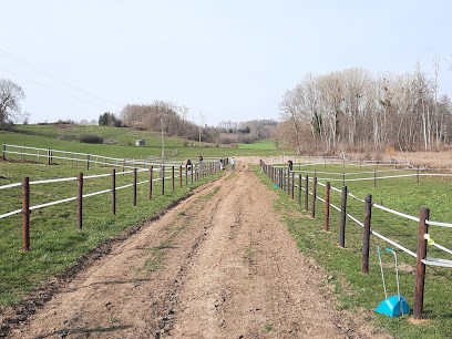 Ecurie E. BROUTIN, Pension pour Chevaux à Pouru-Saint-Remy