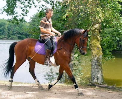 Centre Equestre de Malesse, Centre Equestres à Saint-Privat