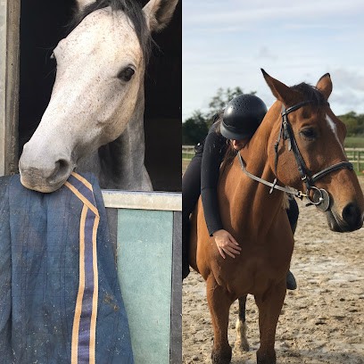 Haras De Fresnay, Centre Equestres à Houdan