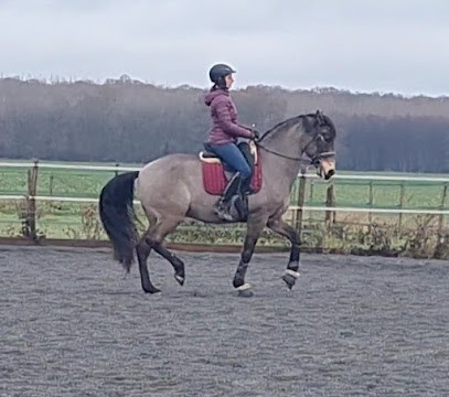 Écurie De Montaiguillon, Pension pour Chevaux à Louan-Villegruis-Fontaine