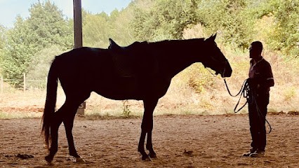 Centre Équestre Ecurie Narolles, Centre Equestres au Fouilloux