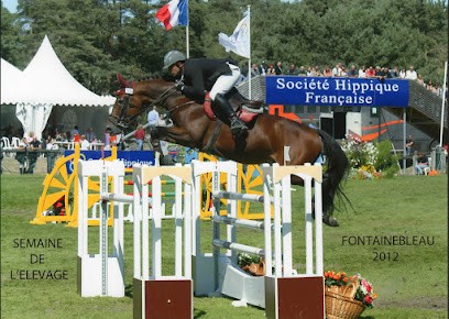 Ecurie du milon, Pension pour Chevaux à Bernay