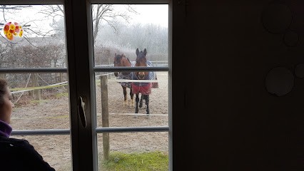 Sarl Olma Poney Club, Centre Equestres au Perray-en-Yvelines