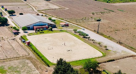 Centre Equestre Du Muscadel, Centre Equestres à Milhaud