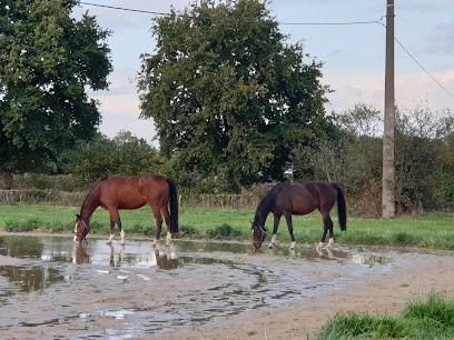 Hipposea, Pension pour Chevaux à Saint-Pierre-des-Ifs