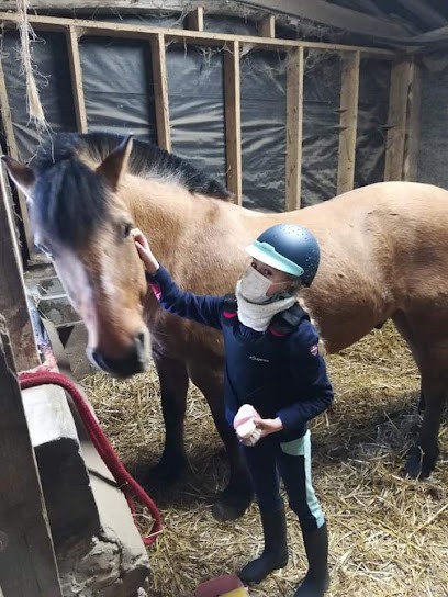 ECURIES DE GRACE, Centre Equestres à Saint-Pierre-Bénouville