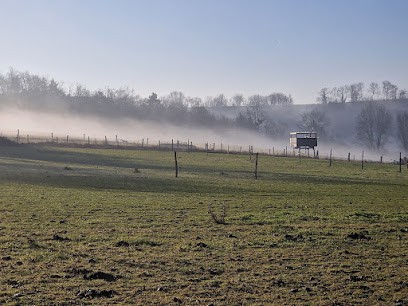 Equitation Ouestern, Centre Equestres à Vaudancourt
