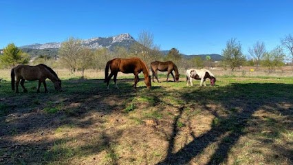 less air curies do park, Centre Equestres à La Garde