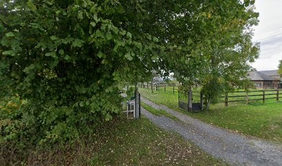 Ecurie Jump Z, Pension pour Chevaux à Saint-Désir