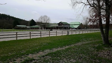 Schotsmans Bernard Chevaux De Sport, Centre Equestres à Larchant