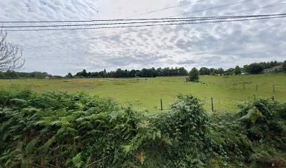 Écurie Des Forêts, Centre Equestres à Cussac