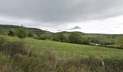Stalls Des Boletières, Centre Equestres à Saint-Romain-en-Jarez