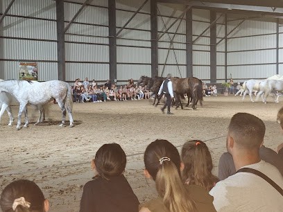 Ecurie Les Fées, Centre Equestres à Savasse