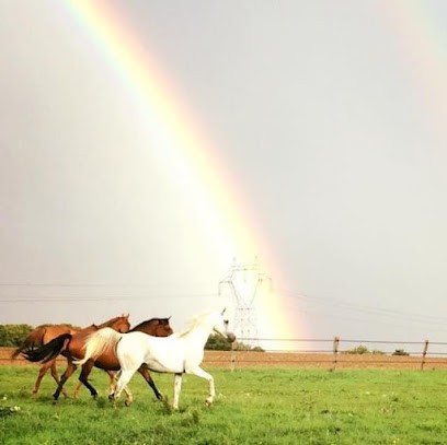 Ecurie de Marthechamps, Centre Equestres à Méréville