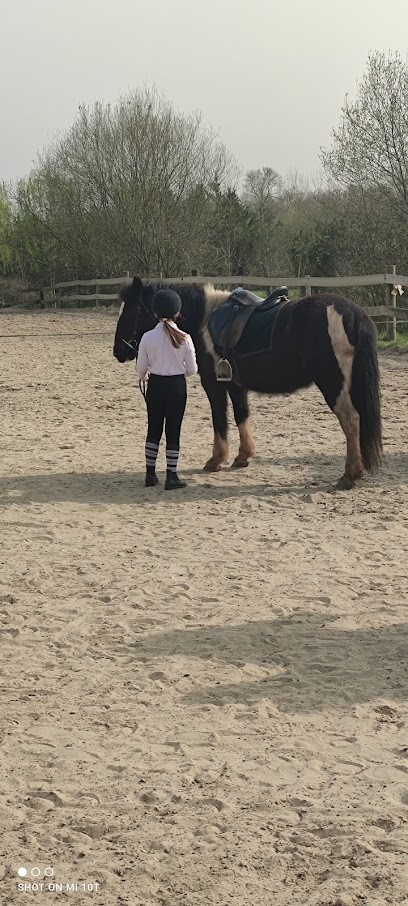 Ecuries All Star, Centre Equestres à Saint-Jean-de-Marsacq