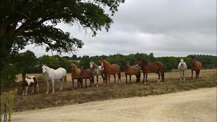 AU GALAUZOUE, Centre Equestres à Lagraulet-du-Gers