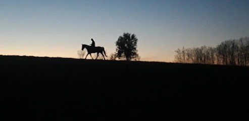 Ecuries et Elevage d'Astrée, Pension pour Chevaux à Sérigné