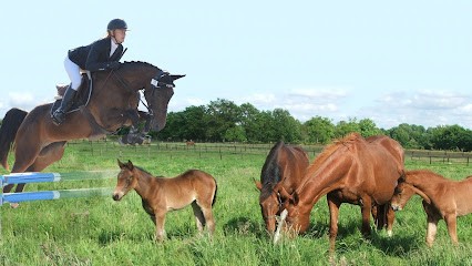 Elevage de Roumard, Pension pour Chevaux à Beaulieu-sous-la-Roche