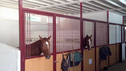 Acn Ecurie, Centre Equestres à Saint-Léger-en-Yvelines