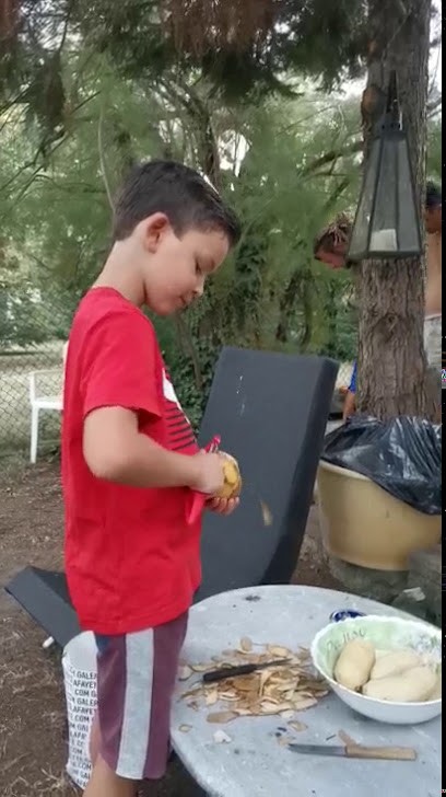 Thiers Voltige Equestre, Centre Equestres à Thiers