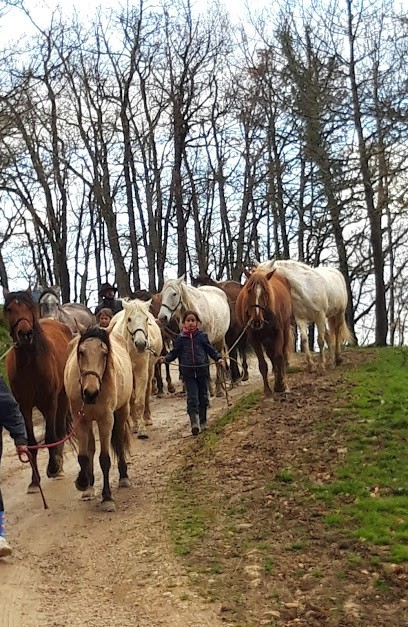 Les Centaures, Centre Equestres à Aigues-Vives