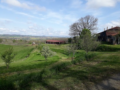 Écuries du Pagnon, Pension pour Chevaux à Sadournin