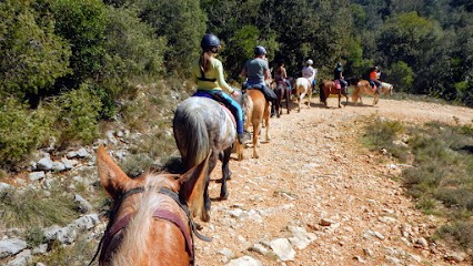 Les Chevaux Du Cantaure, Centre Equestres à Saint-Ambroix