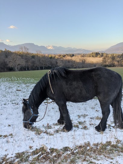 Élevage du Percy (ferme des Pravières), Centre Equestres au Monestier-du-Percy