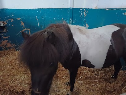 Equestrian Club De Meaux, Centre Equestres à Meaux