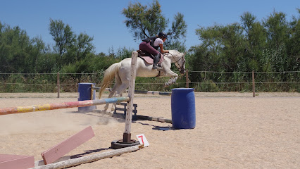 Haras Des Deux Vents, Pension Pour Chevaux à Saint-Laurent-de-la-Salanque
