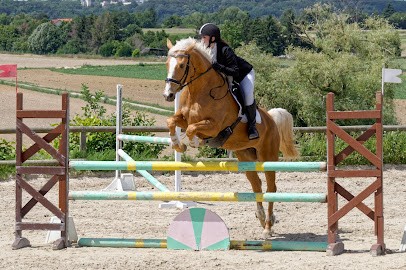 ECURIE DU TRIANGLE VERT, Centre Equestres à Saulx-les-Chartreux
