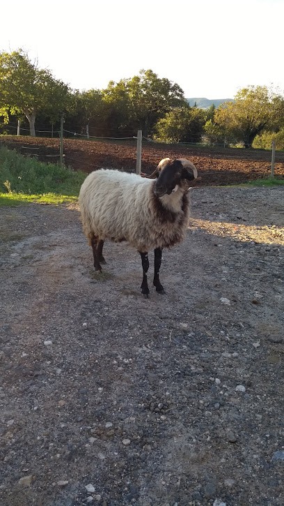 Blanc Nicole, Centre Equestres à Granès