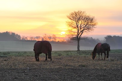 Area Equestrian De Valaly, Centre Equestres à Mauron