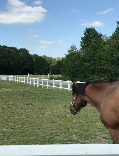 Écuries d'Hermières, Pension pour Chevaux à Favières