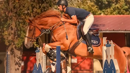 Écuries Du Petit Pin, Centre Equestres à Mérinville