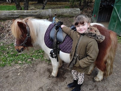 Le Petit Paradou, Centre Equestres à Montolieu