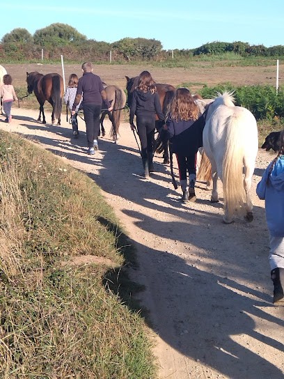Centre Equestre Feunteun Aod, Centre Equestres à Plogoff