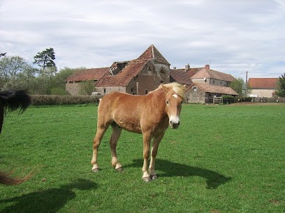 Elevage De Corbeton, Centre Equestres à Saint-Prix-lès-Arnay