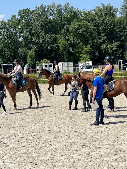 Action Cheval Formation, Centre Équestre à Saint-Ismier
