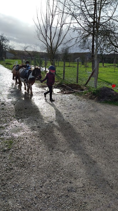 Ecuries De Terce, Centre Equestres à Tercé